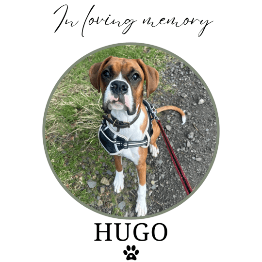 Boxer Memorial Tealight Holder