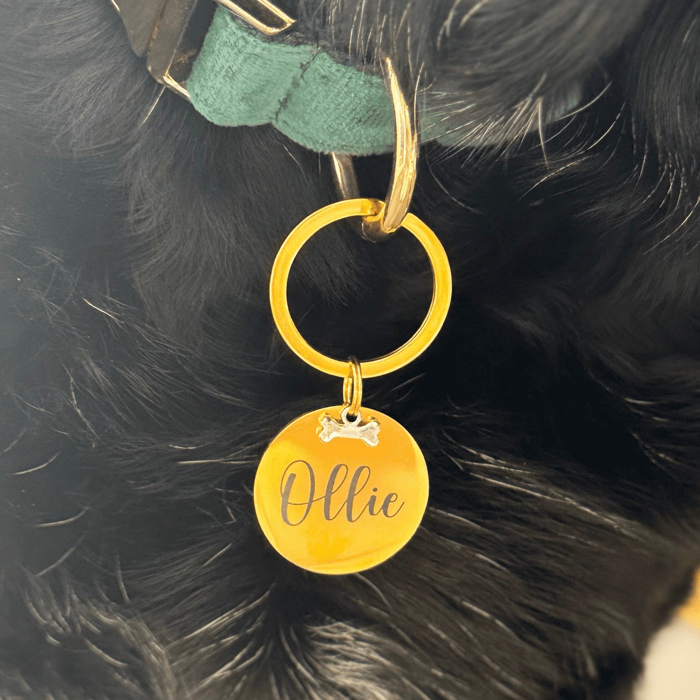 Gold Dog ID Tag – Personalised Pet Name Tag with Bone Accent with Silver Bone Accent