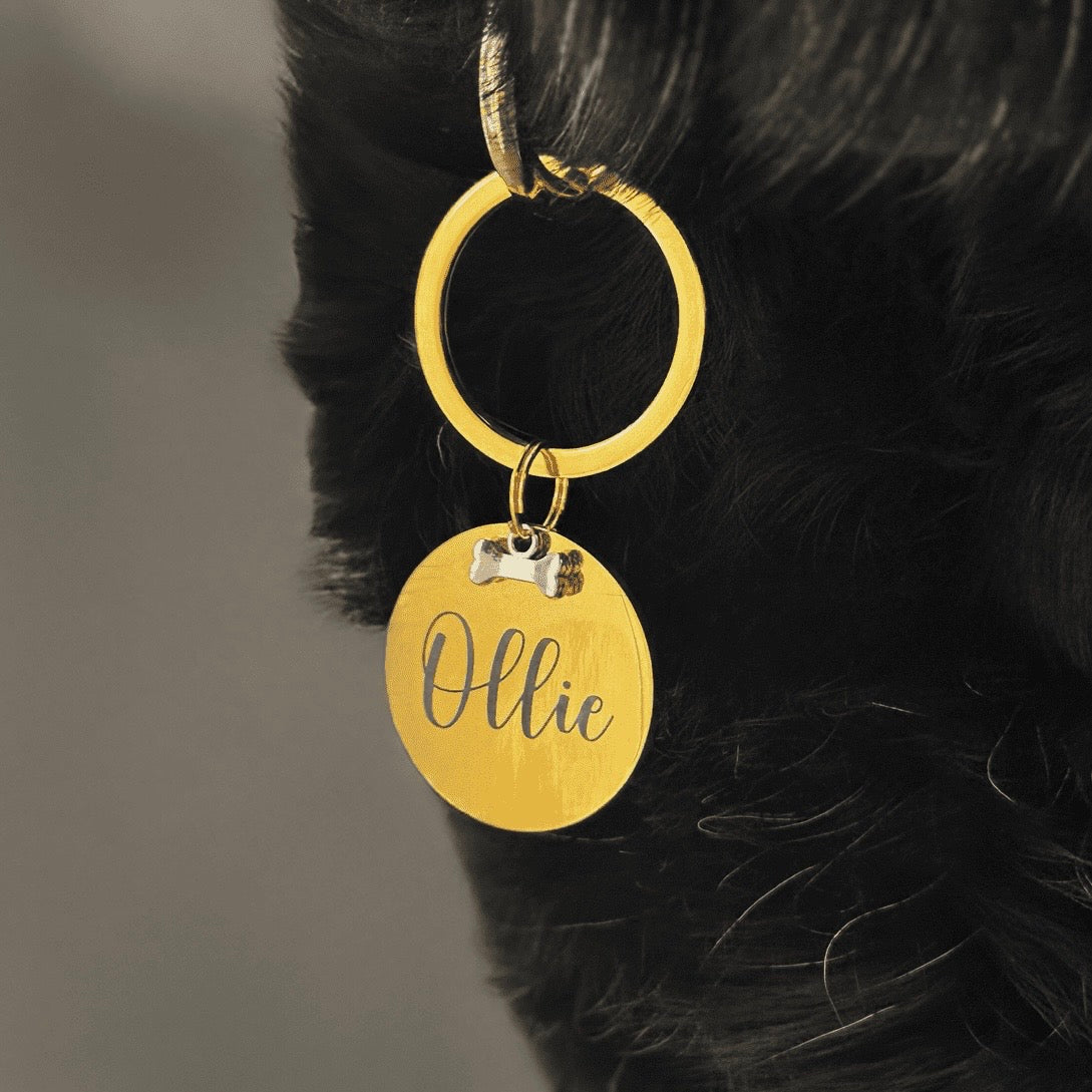Gold Dog ID Tag – Personalised Pet Name Tag with Bone Accent with Silver Bone Accent