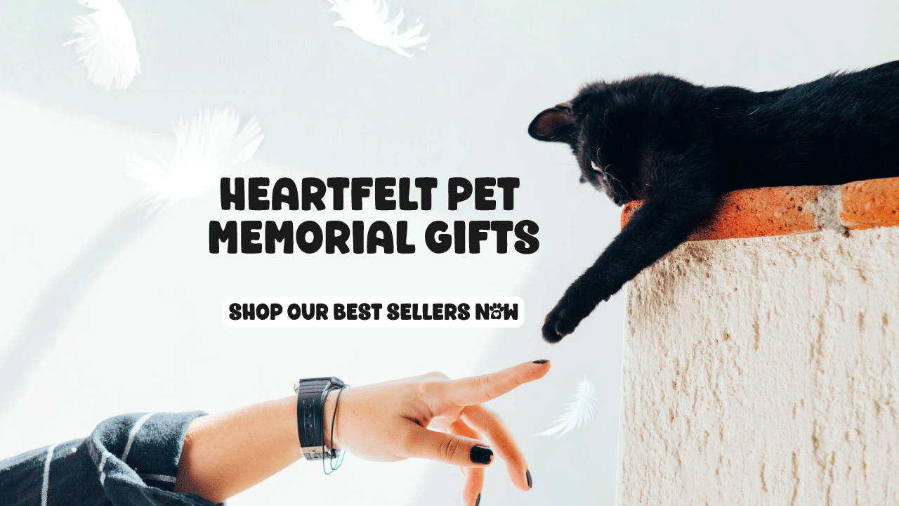 Canvas & Bear Heartfelt Pet Memorial Gifts