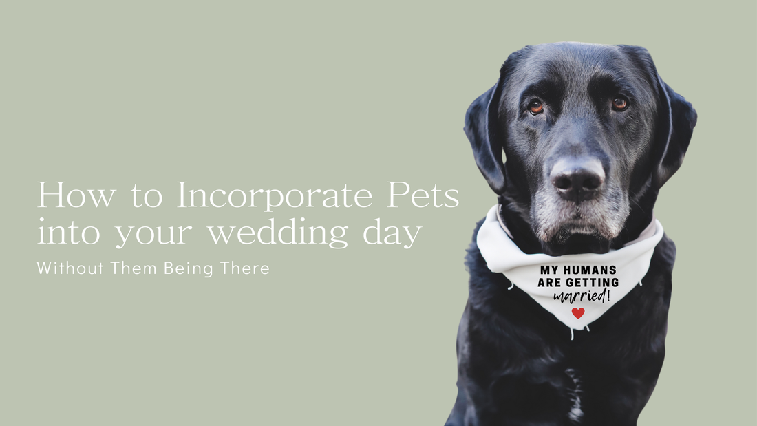 How to Incorporate Pets into Your Wedding Without Them Being There