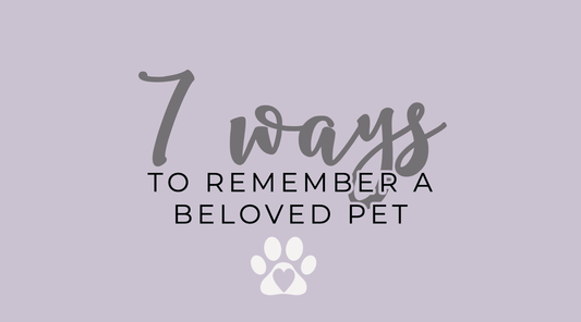 7 Special Ways To Remember A Beloved Pet