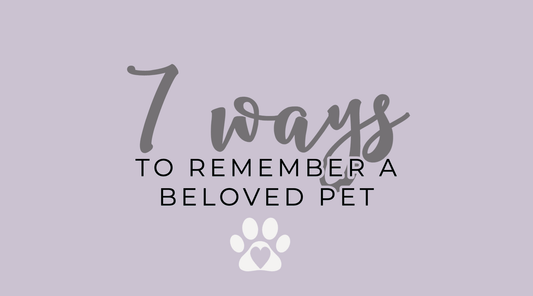 7 Special Ways To Remember A Beloved Pet