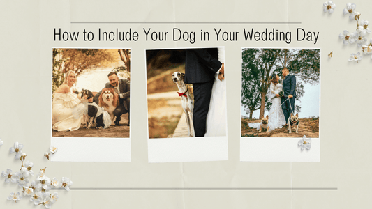 How to Include Your Dog in Your Wedding Day: A Guide to a Paw-some Celebration