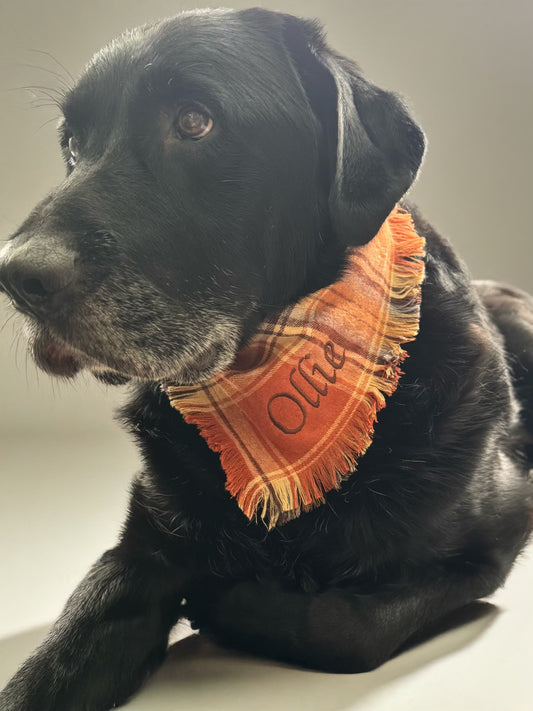 Embroidered Pet Bandana – Checkered Design | Custom Dog Scarf (Medium)