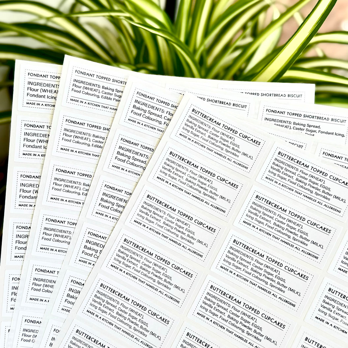 Sheet of printed ingredient labels featuring text, photographed on surface with plant in background
