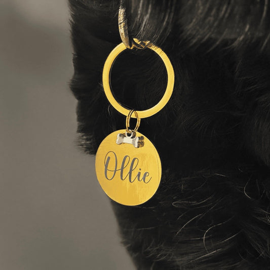Gold Dog ID Tag – Personalised Pet Name Tag with Bone Accent with Silver Bone Accent