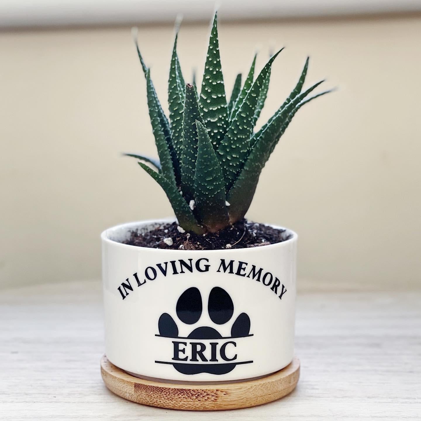 Personalised Pet Loss Plant Pot Gift