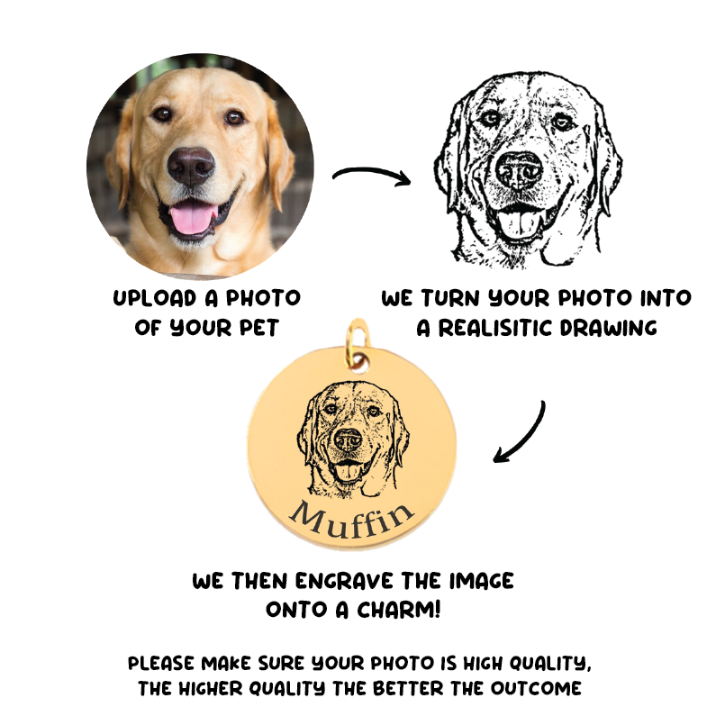 A visual diagram of the design process. Upload a photo of your pet, we turn your photo into a realistic drawing, we then engrave the image onto a charm ready to create your necklace