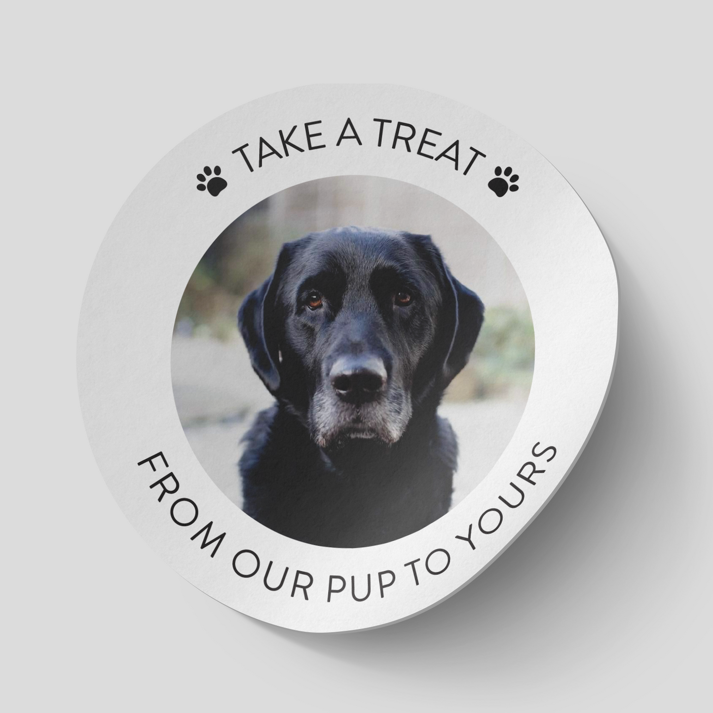 Personalised Photo Dog Treat Wedding Favour Stickers