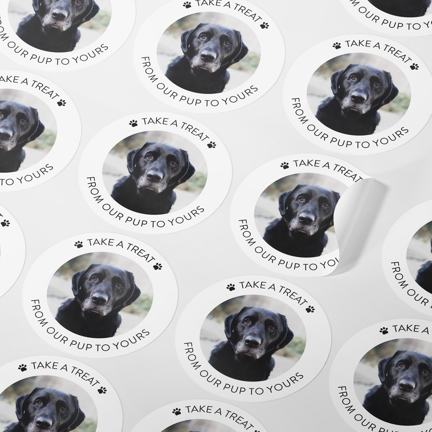 Personalised Photo Dog Treat Wedding Favour Stickers