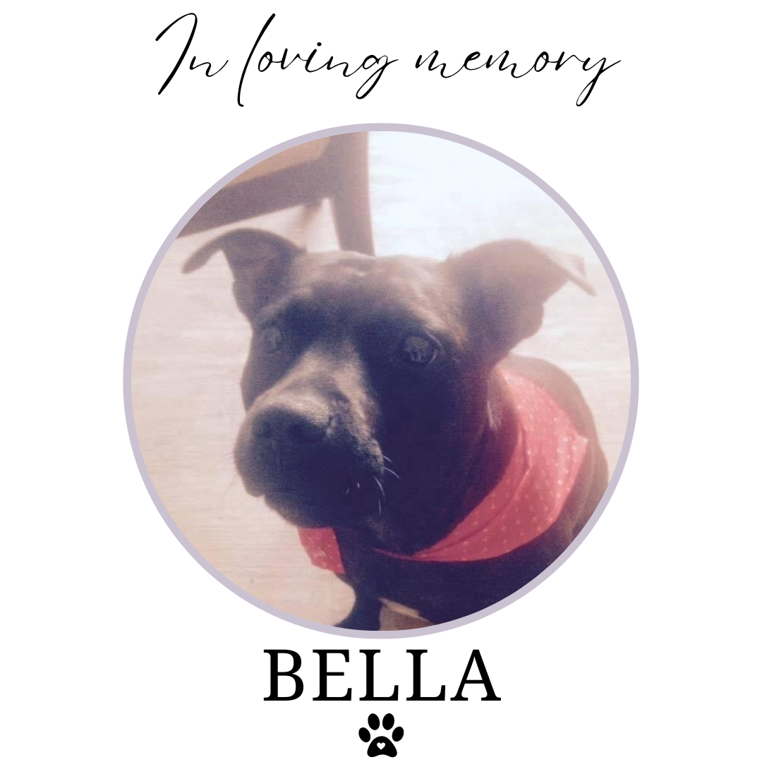 In loving memory pet loss gift